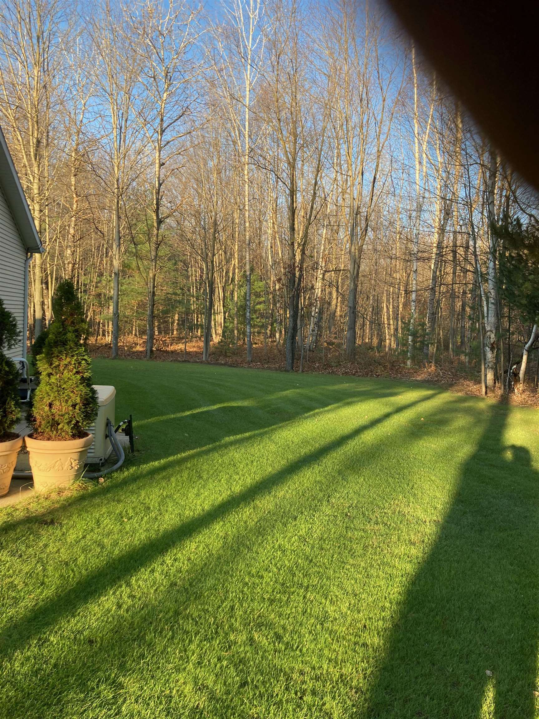1664 South Coleman Road Shepherd, MI 48883 - Photo 38 of 73 1896731-37.JPG
