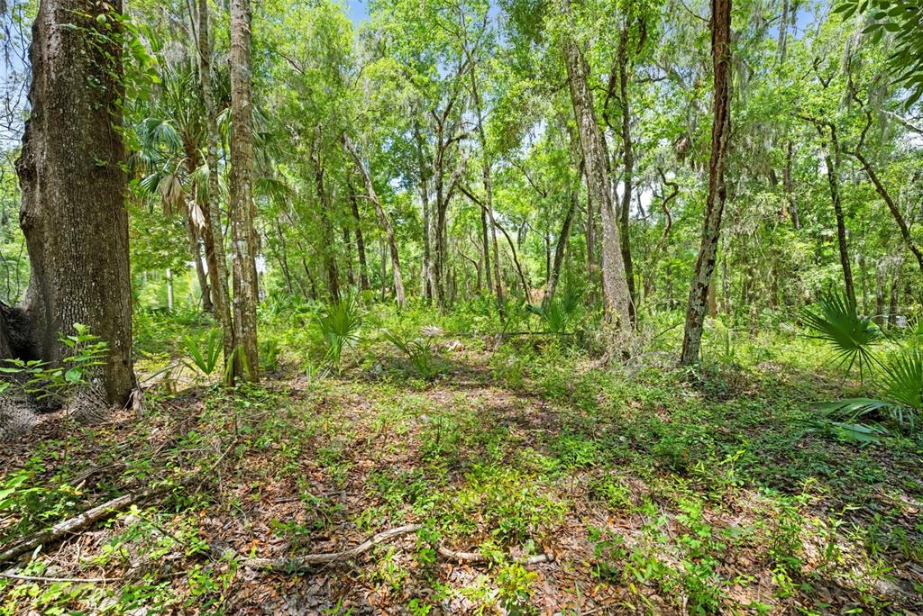 0 Ricebird Avenue, Unit LOT 89 Weeki Wachee, FL 34614 - Photo 24 of 27