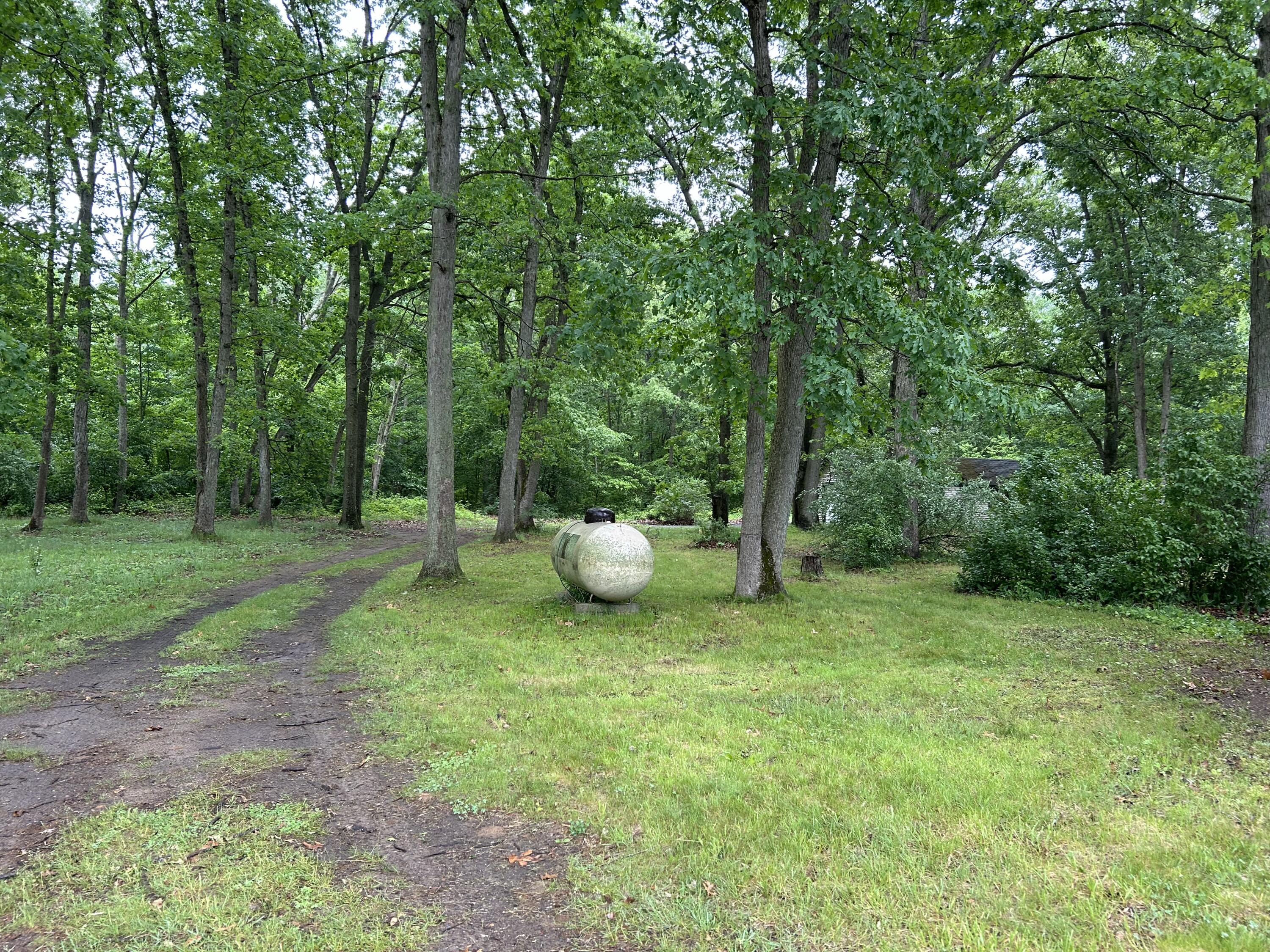 2999 Lincoln Road Hamilton, MI 49419 - Photo 25 of 33 IMG_6163