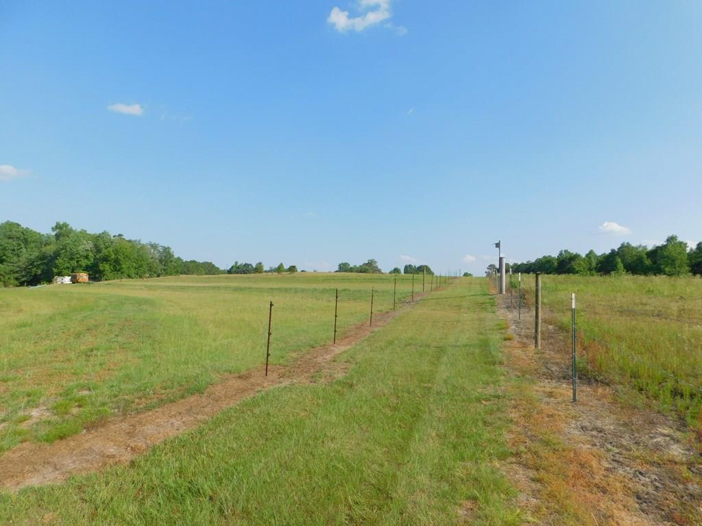 0 Pond Road Andalusia, AL 36421 - Photo 4 of 15 Gallery Image 4