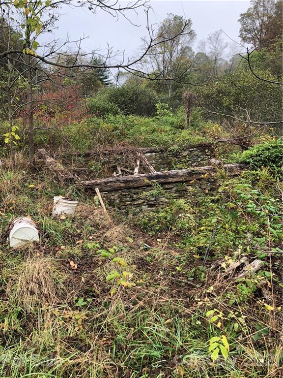 0 Newfound Road Canton, NC 28716 - Photo 22 of 27 Gallery Image 22