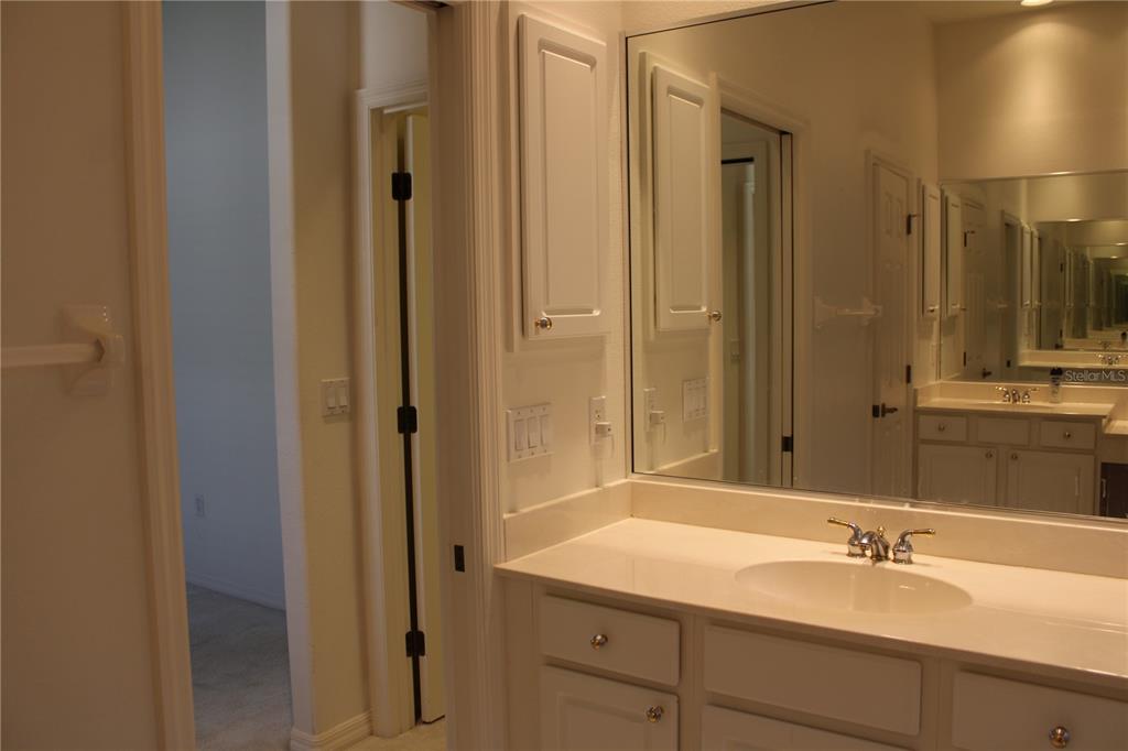 11257 28th St Circle East Parrish, FL 34219 - Photo 24 of 59 a bathroom with a sink and a mirror