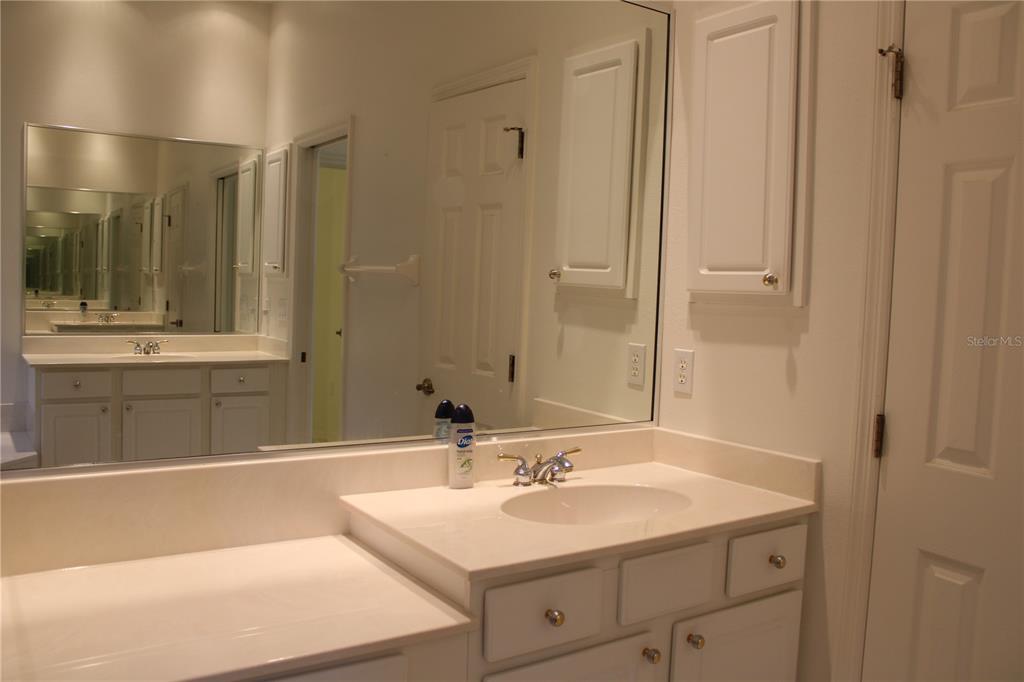 11257 28th St Circle East Parrish, FL 34219 - Photo 26 of 59 a bathroom with a sink and a mirror
