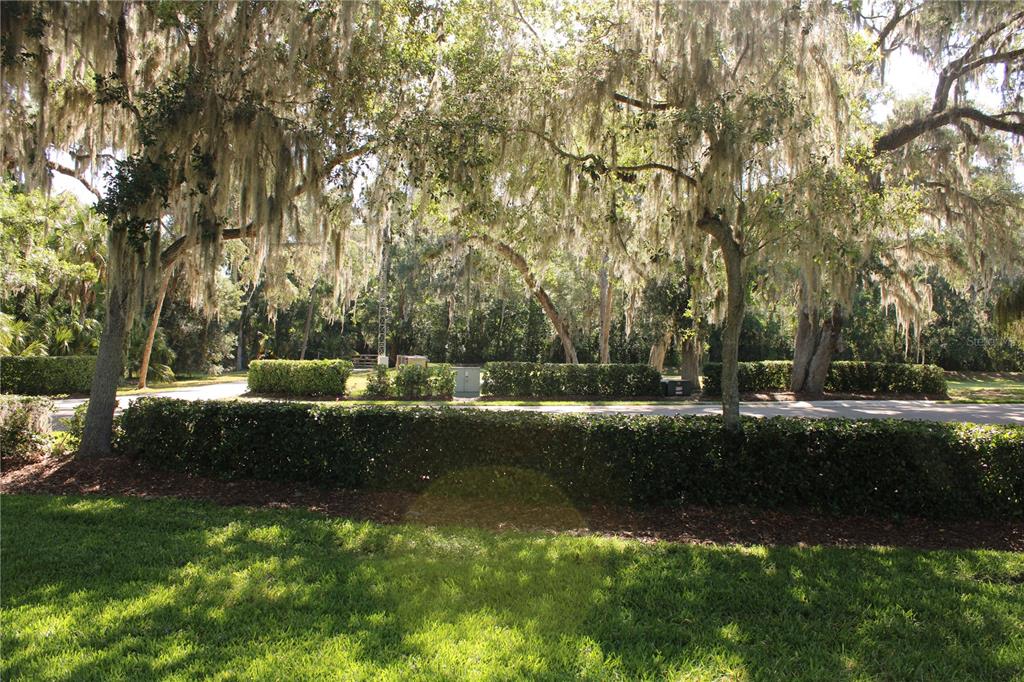 11257 28th St Circle East Parrish, FL 34219 - Photo 58 of 59 a view of backyard with green space