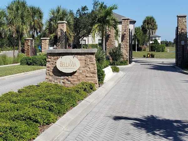 a view of a park with plants and palm trees