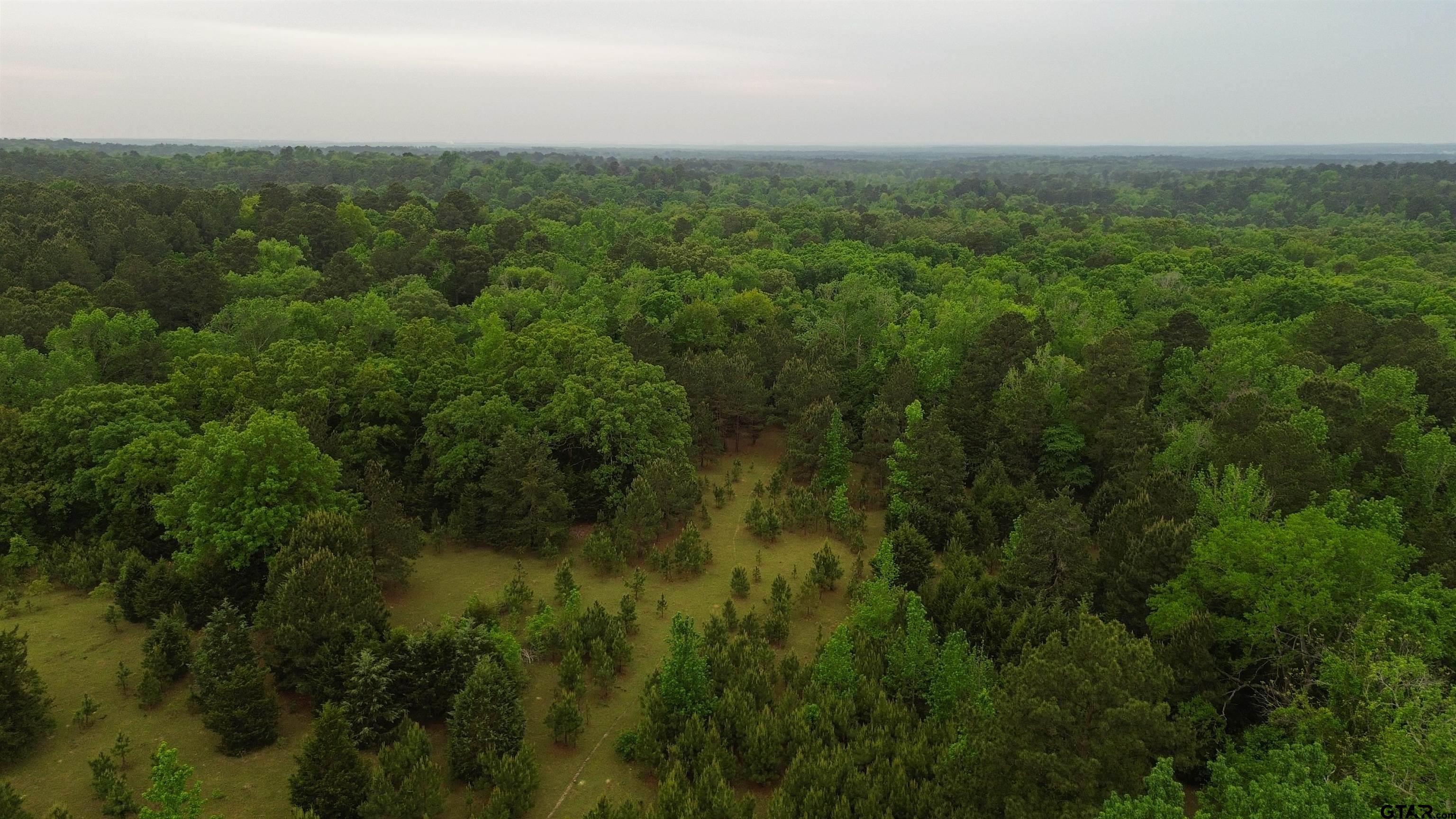 0 Fire Tower Road Hallsville, TX 75650 - Photo 11 of 25 an aerial view of residential houses with outdoor space and trees