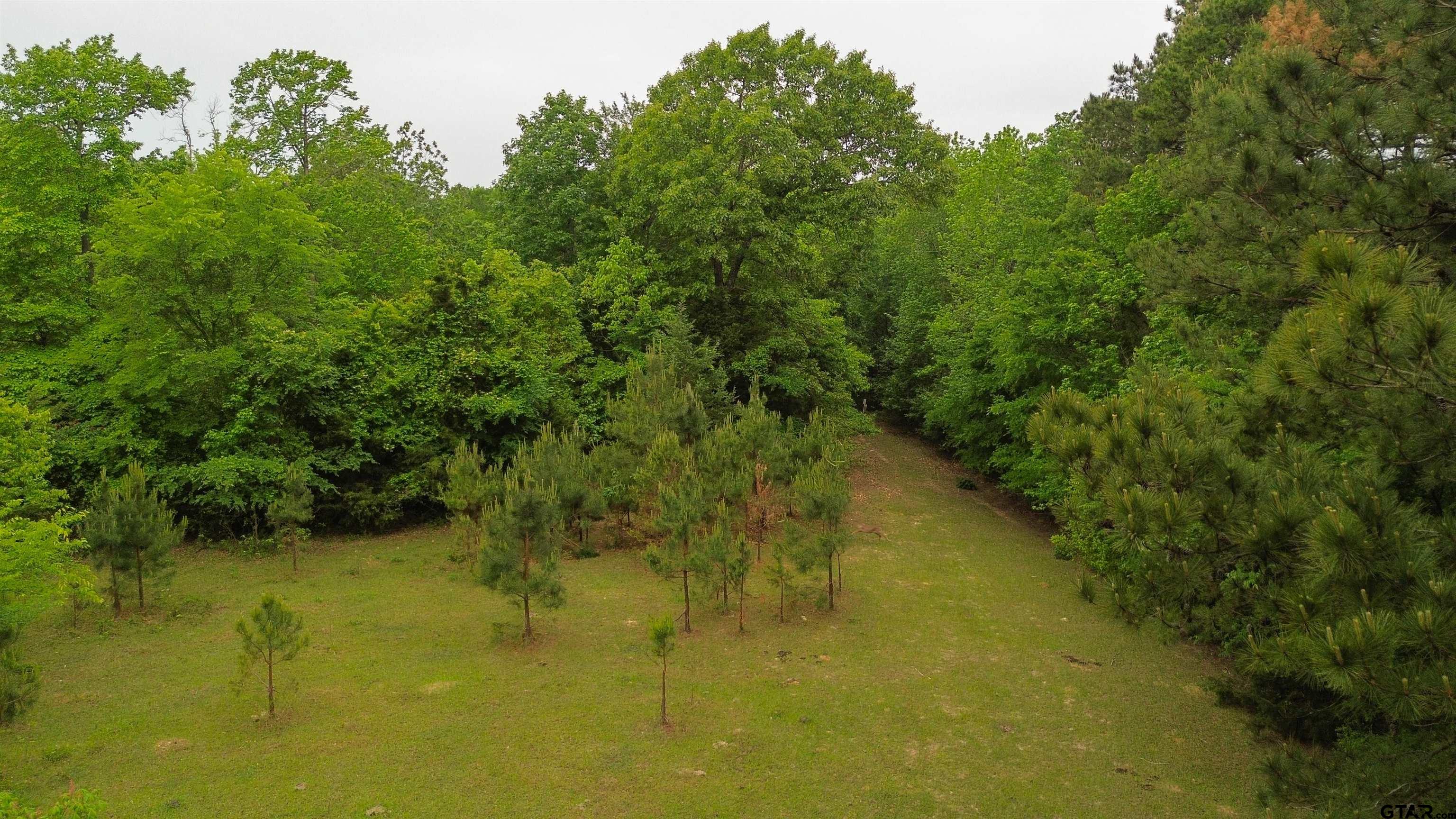 0 Fire Tower Road Hallsville, TX 75650 - Photo 12 of 25 a view of a lake view