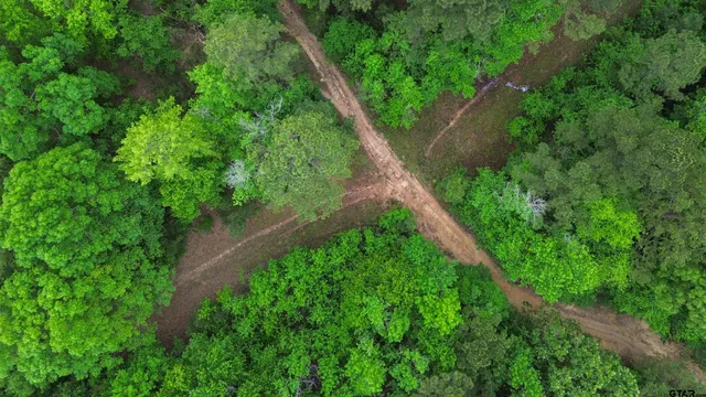 a view of a garden with a lake view