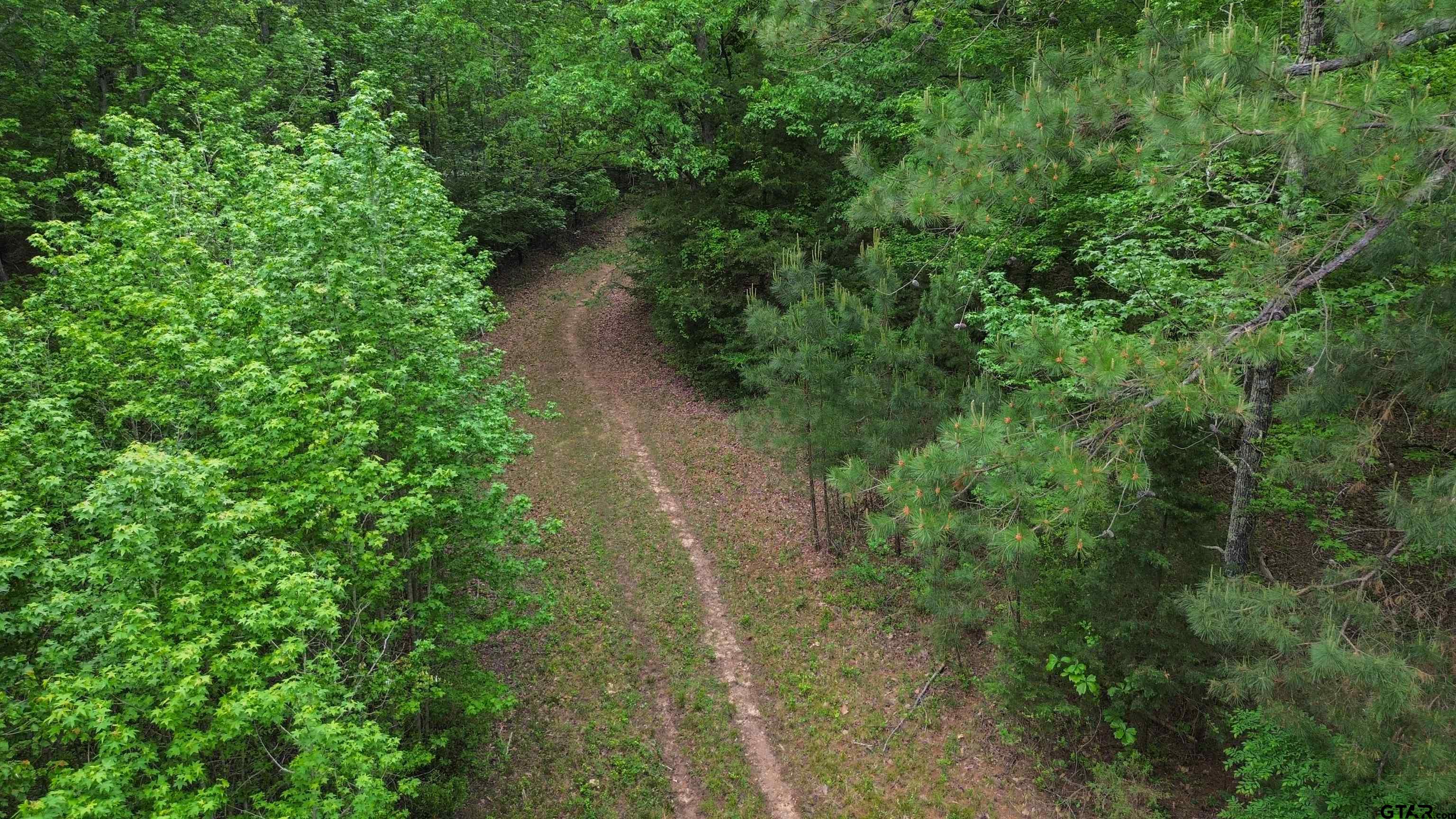 0 Fire Tower Road Hallsville, TX 75650 - Photo 15 of 25 a view of a yard with plants and a small yard