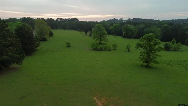 a view of a big yard with green space