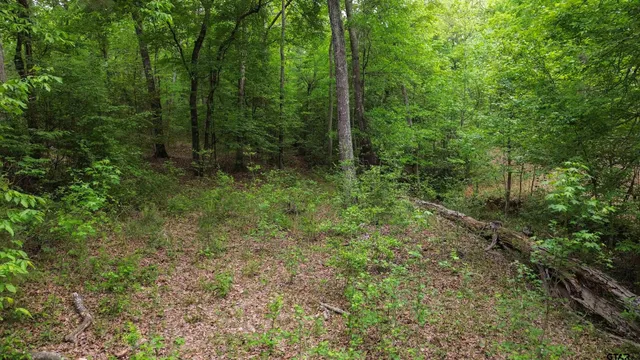 $845,640 | 0 Fire Tower Road, Hallsville, TX 75650