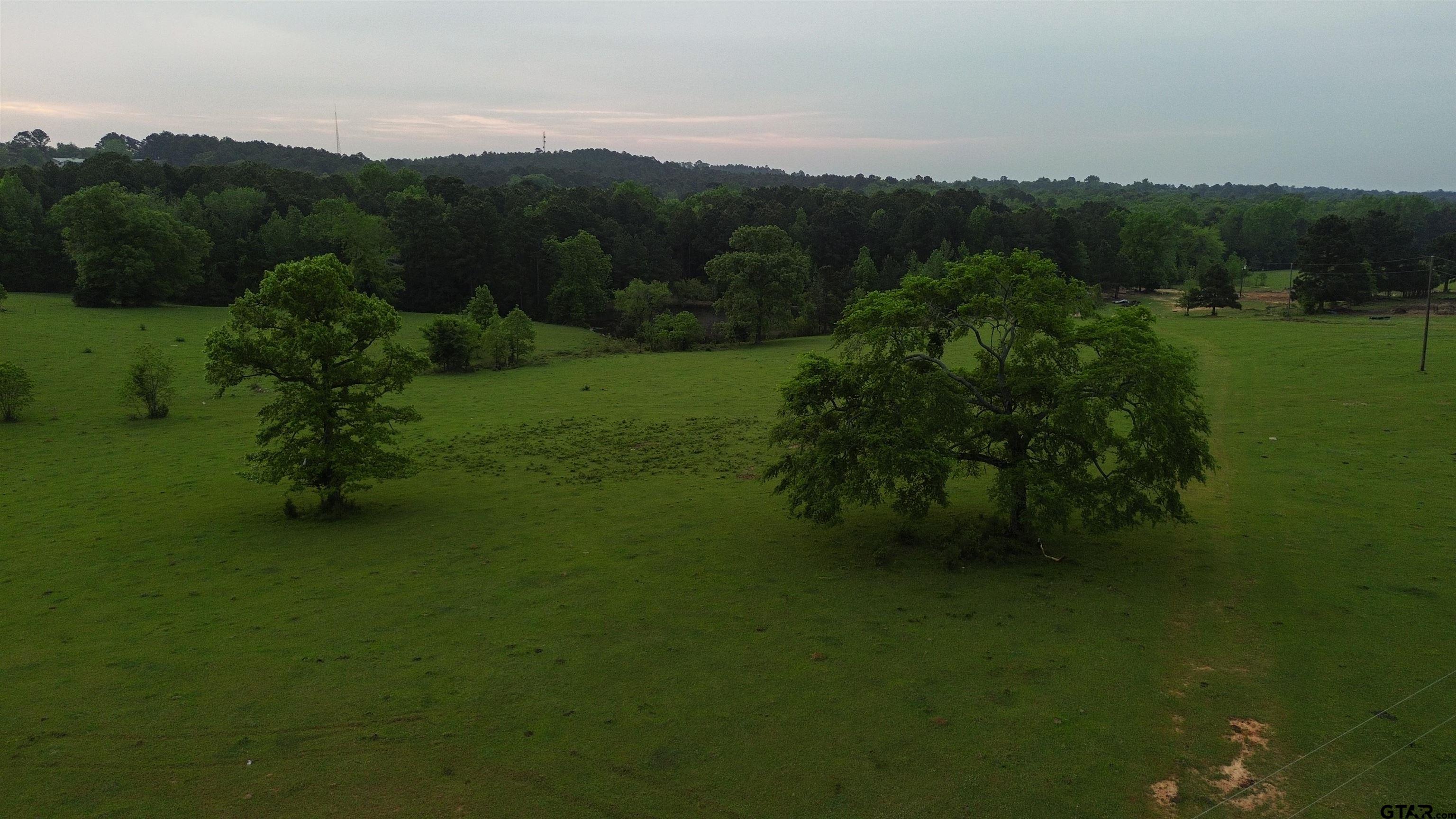 0 Fire Tower Road Hallsville, TX 75650 - Photo 5 of 25 a view of outdoor space and yard