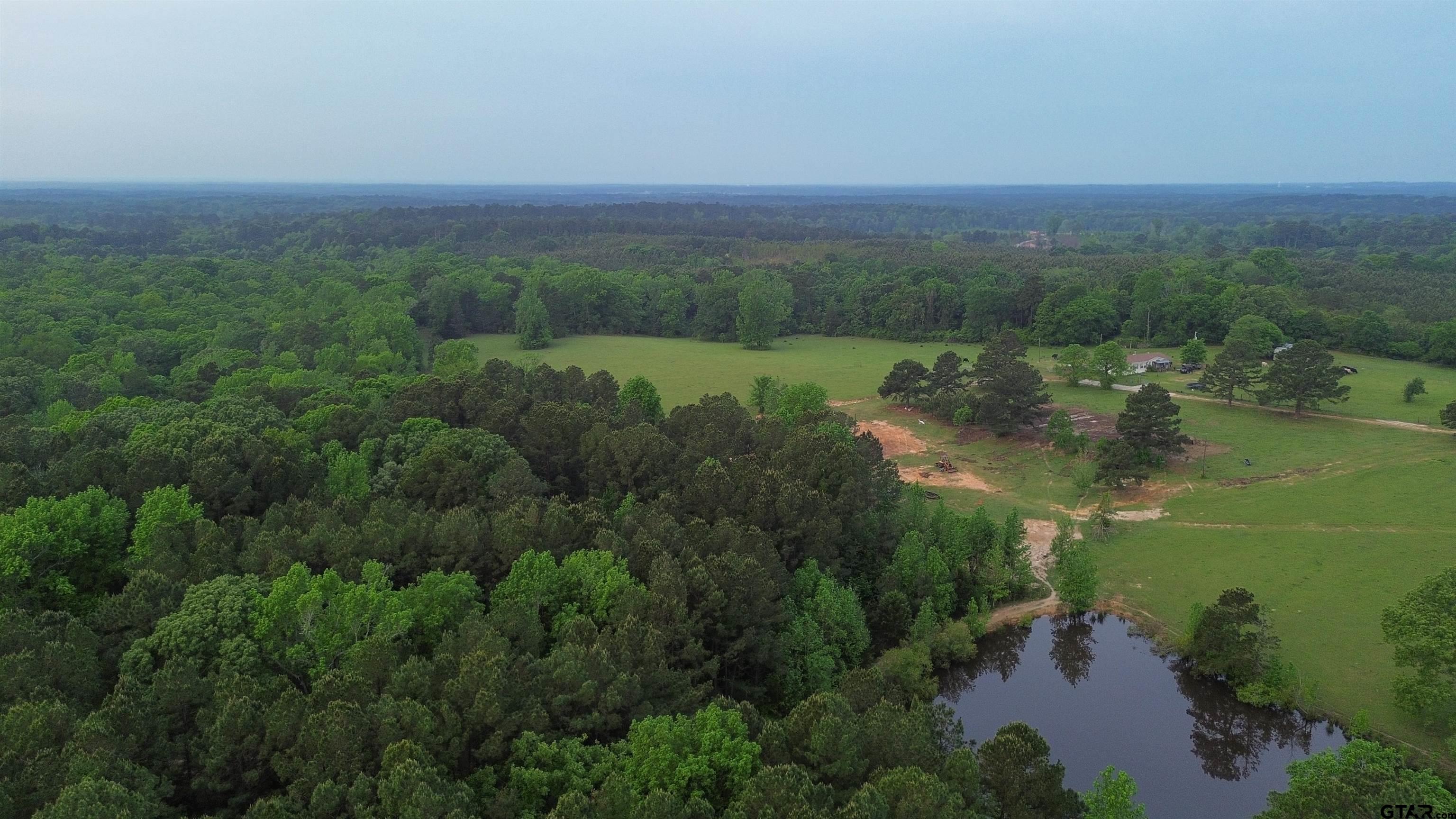 0 Fire Tower Road Hallsville, TX 75650 - Photo 6 of 25 a view of a lake with a city