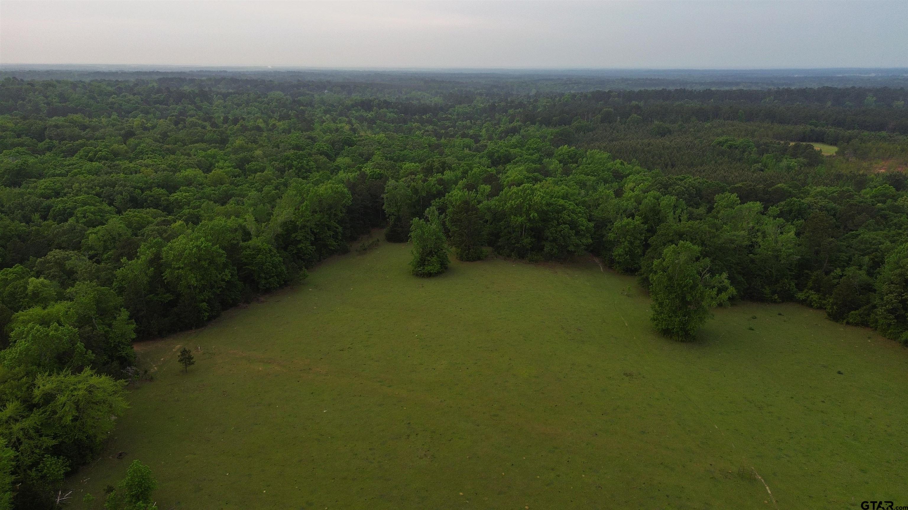 0 Fire Tower Road Hallsville, TX 75650 - Photo 7 of 25