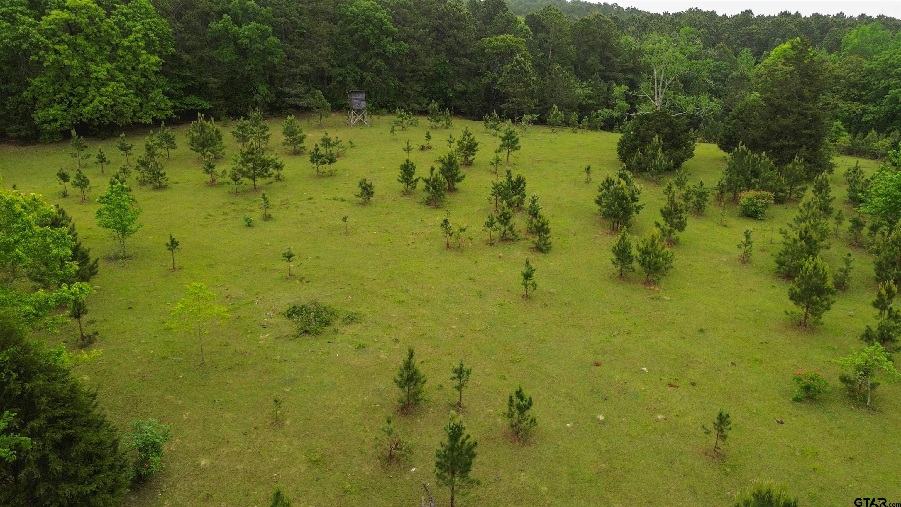 0 Fire Tower Road Hallsville, TX 75650 - Photo 8 of 25 a view of a lake view