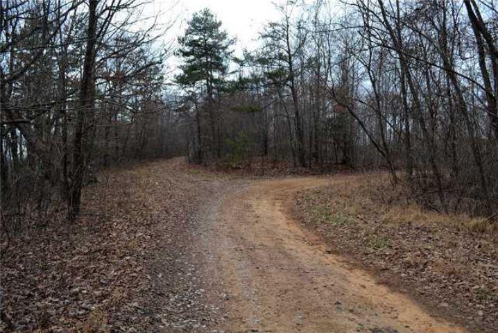 45-ac Palmer Firetower Road Whitwell, TN 37397 - Photo 18 of 20 Palmer Firetower - Salord 3