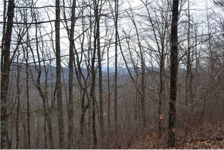 45-ac Palmer Firetower Road Whitwell, TN 37397 - Photo 19 of 20 Palmer Firetower - Salord 5