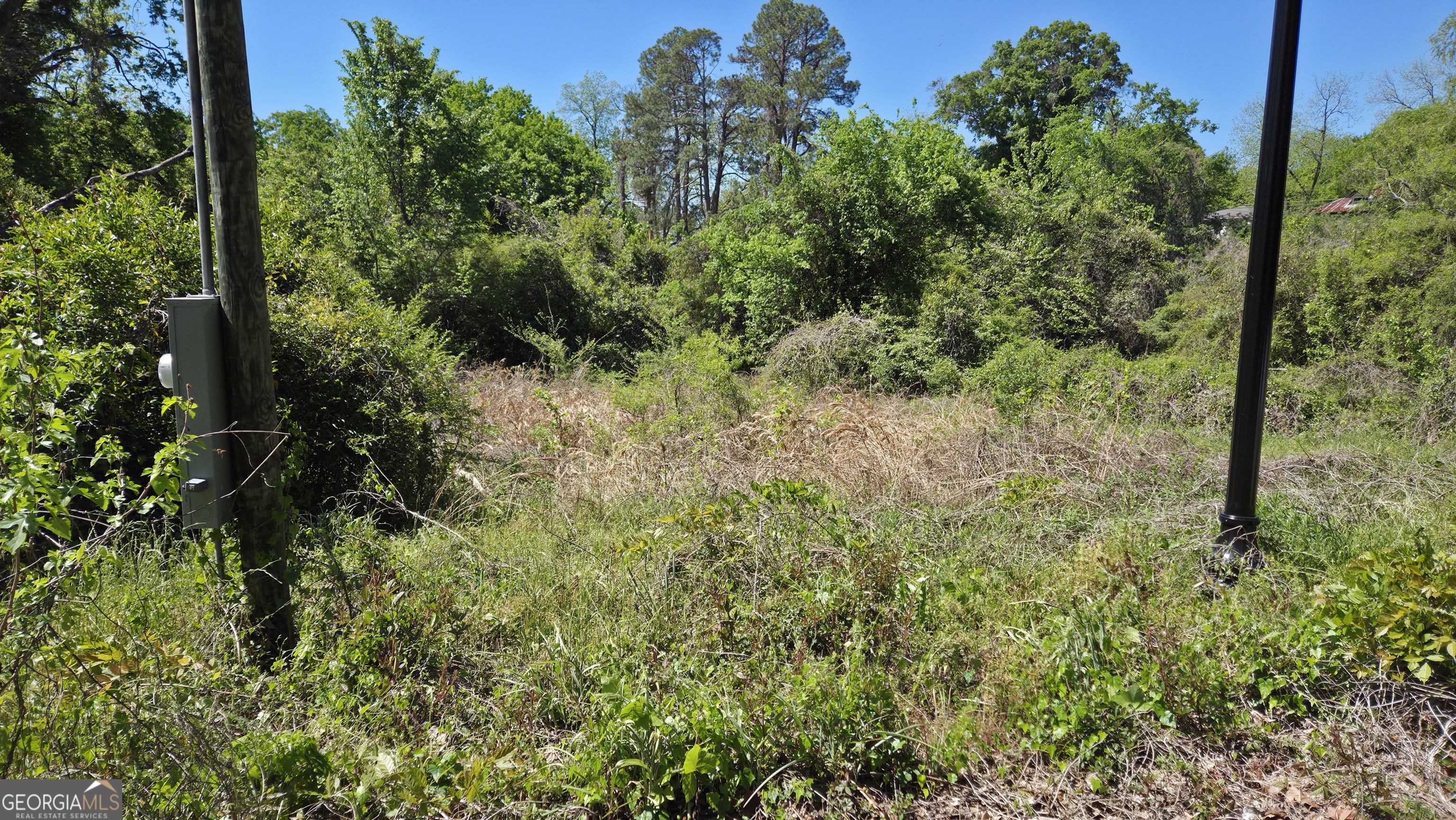 2150 Sycamore Street Macon, GA 31204 - Photo 2 of 3 a view of a lush green forest