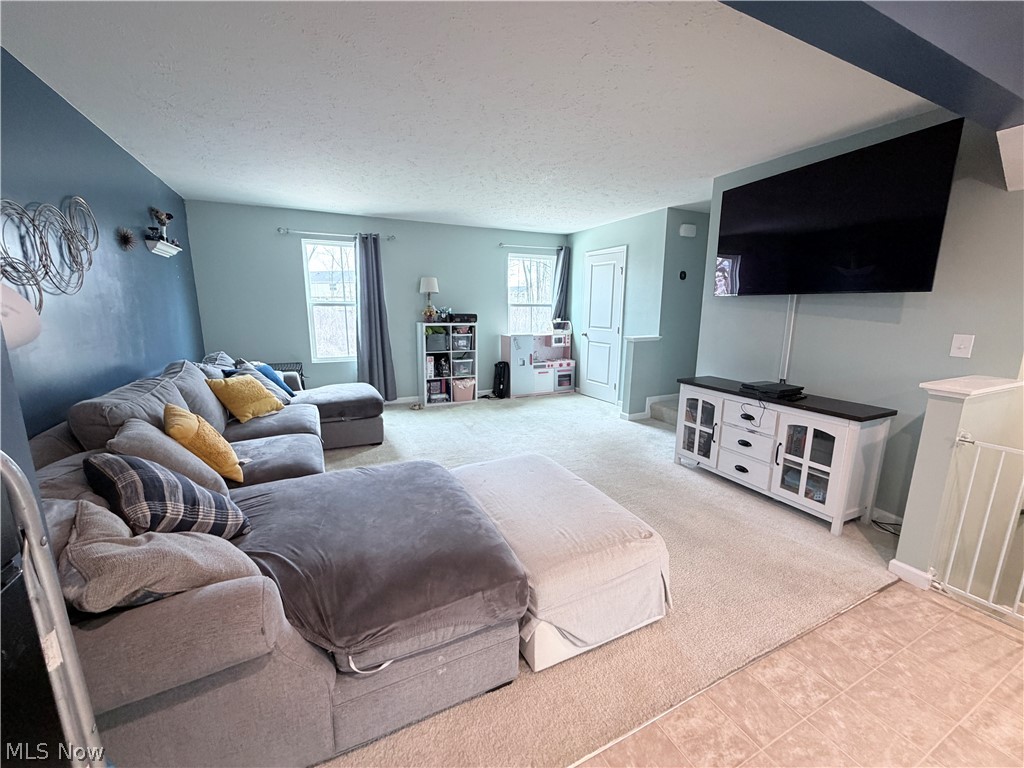 177 Raintree Lane Painesville, OH 44077 - Photo 6 of 40 Living area with a textured ceiling and carpet floors