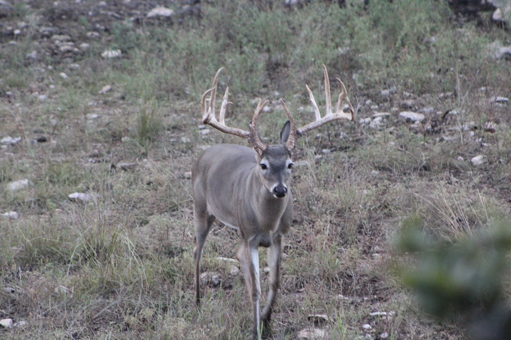 25 Blackjack Ranch Road, Unit 25 Harper, TX 78631 - Photo 8 of 8