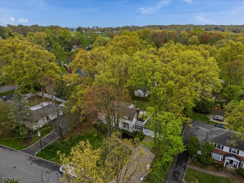 8 Lessing Road West Orange, NJ 07052 - Photo 35 of 40