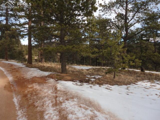 1006 Pinewood Road Florissant, CO 80816 - Photo 3 of 6
