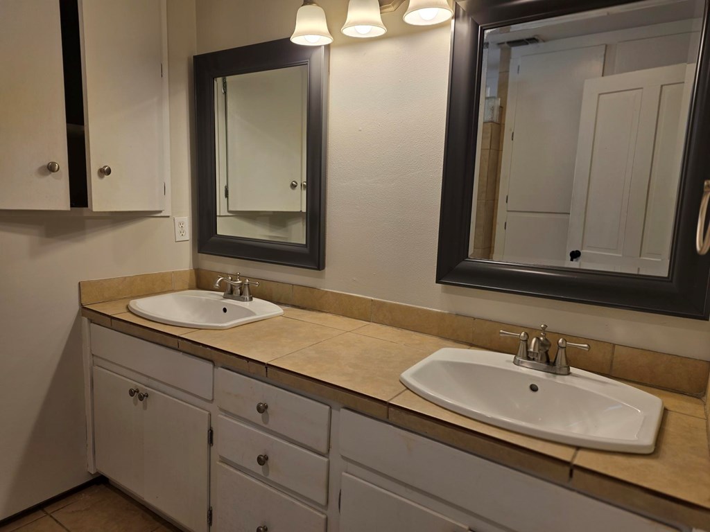 109 West Travis Street, Unit MH Fredericksburg, TX 78624 - Photo 14 of 24 a bathroom with a sink and a mirror