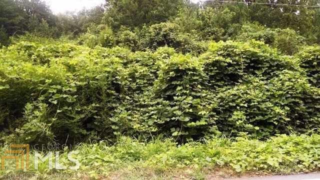 3841 Dixie Road Covington, GA 30014 - Photo 1 of 1 a view of a lush green forest