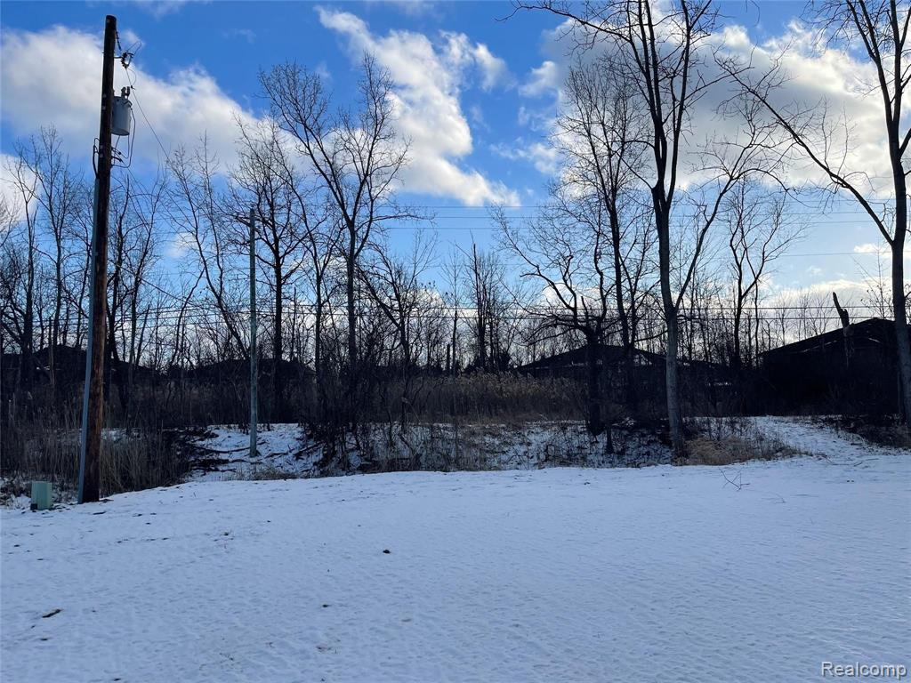 61277 11 Mile Road South Lyon, MI 48178 - Photo 15 of 18