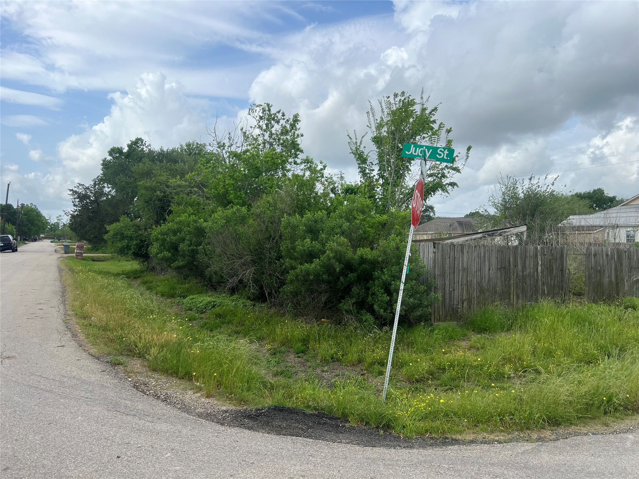 5810 Judy Street Rosharon, TX 77583 - Photo 4 of 9