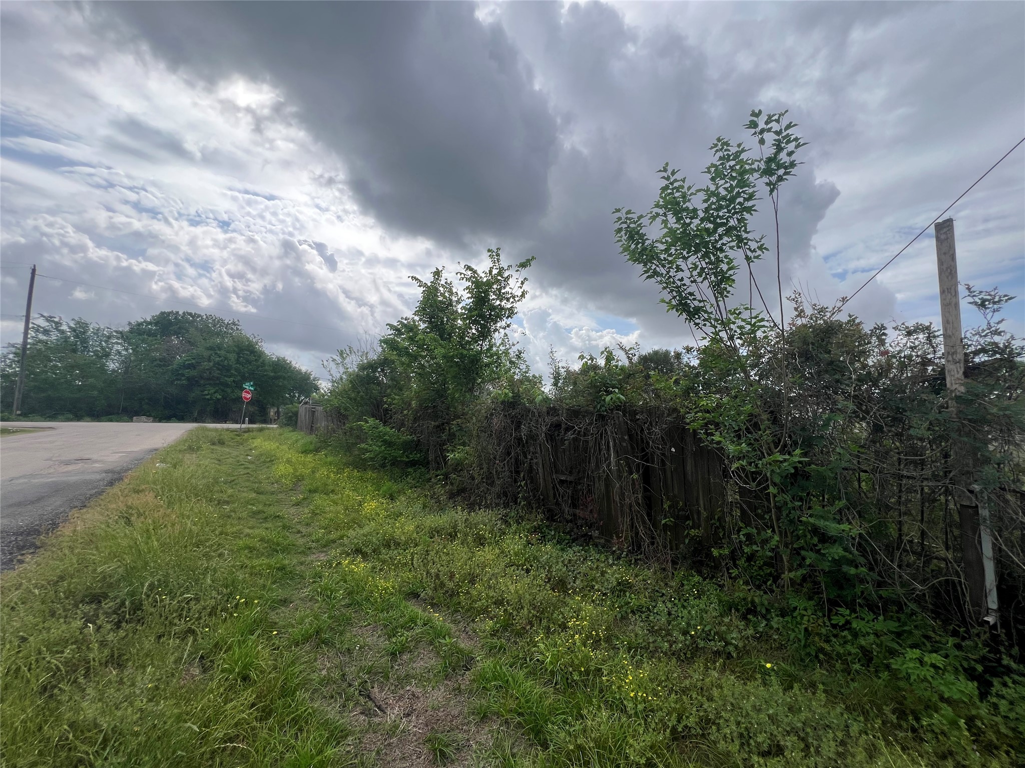 5810 Judy Street Rosharon, TX 77583 - Photo 6 of 9