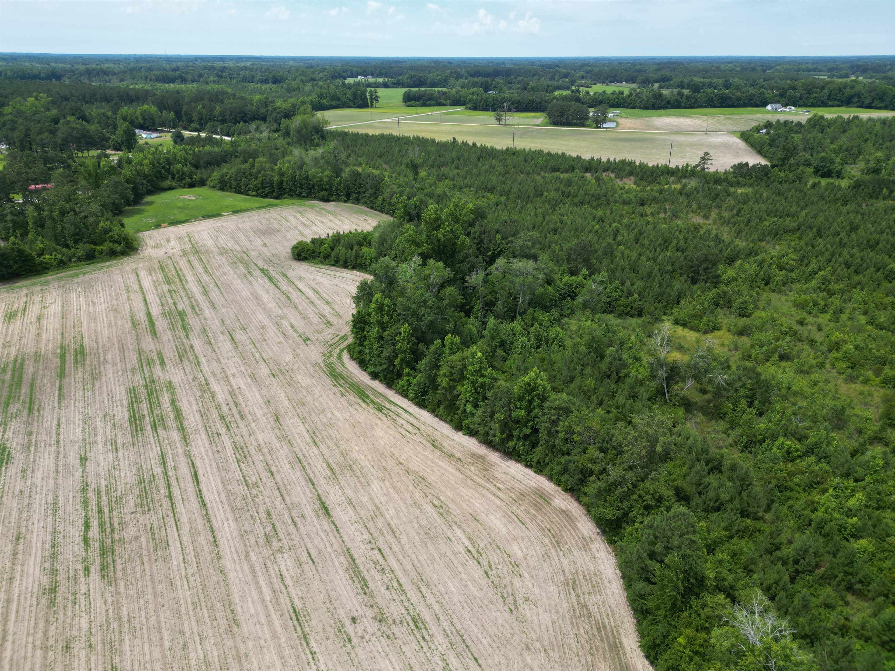 Tbd Church Road Green Sea, SC 29545 - Photo 15 of 19
