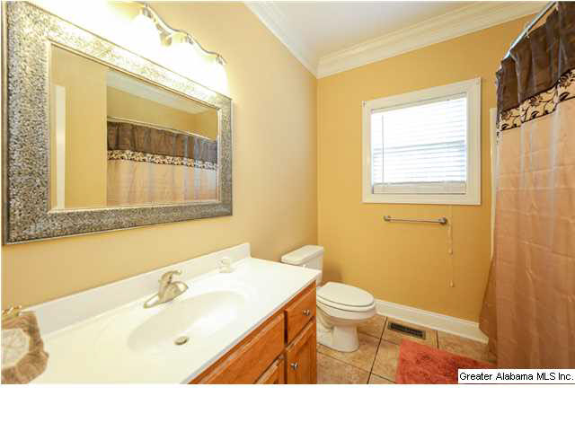 10089 Mize Road Remlap, AL 35133 - Photo 19 of 30