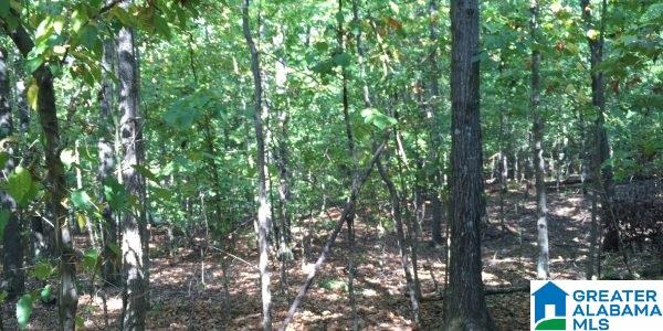Jasmine Hill Road Pelham, AL 35124 - Photo 3 of 6