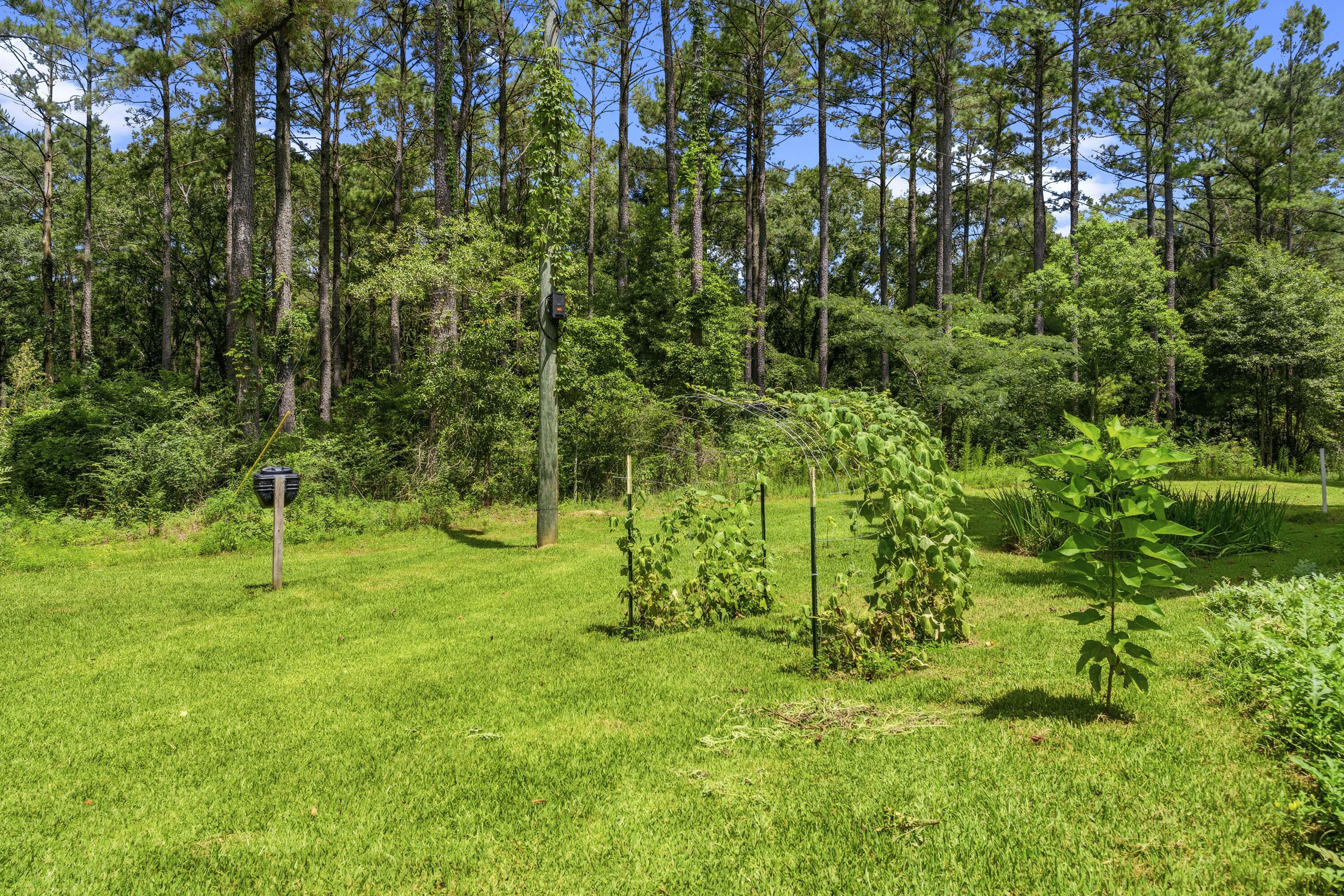 121 Carson-Bunkerhill Road Carson, MS 39427 - Photo 9 of 11 Gallery Image 9