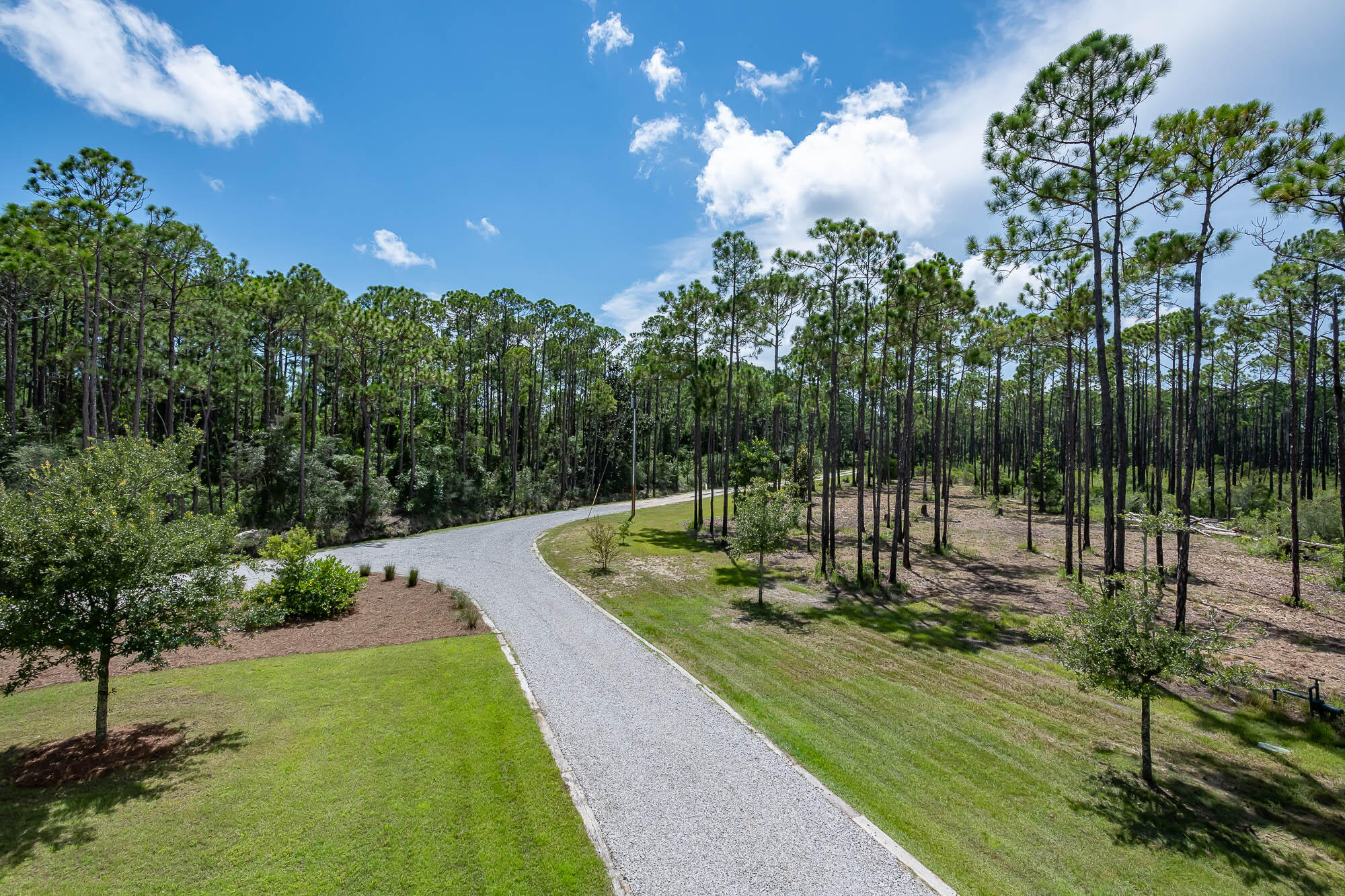 770 North Church Street Santa Rosa Beach, FL 32459 - Photo 33 of 85 a view of a park with large trees