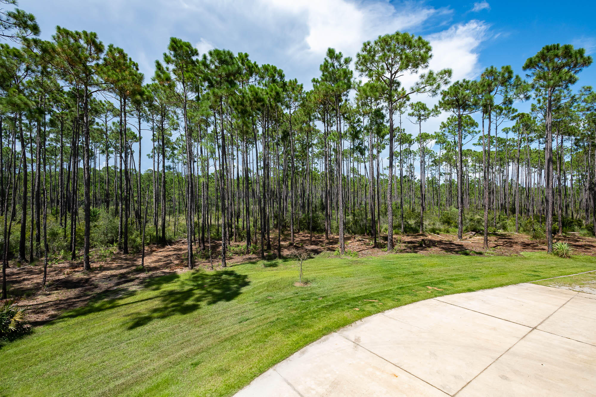 770 North Church Street Santa Rosa Beach, FL 32459 - Photo 34 of 85 220801-770northchurch-435-2000