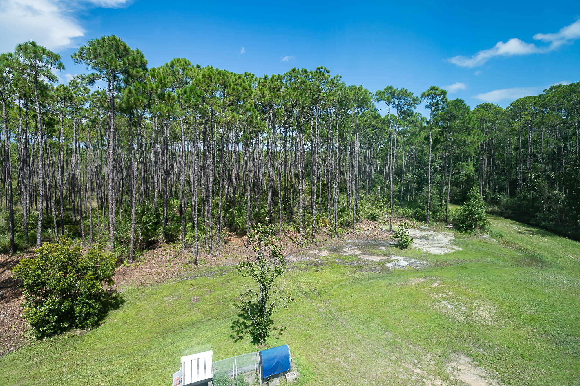 770 North Church Street Santa Rosa Beach, FL 32459 - Photo 64 of 85 220801-770northchurch-465-2000