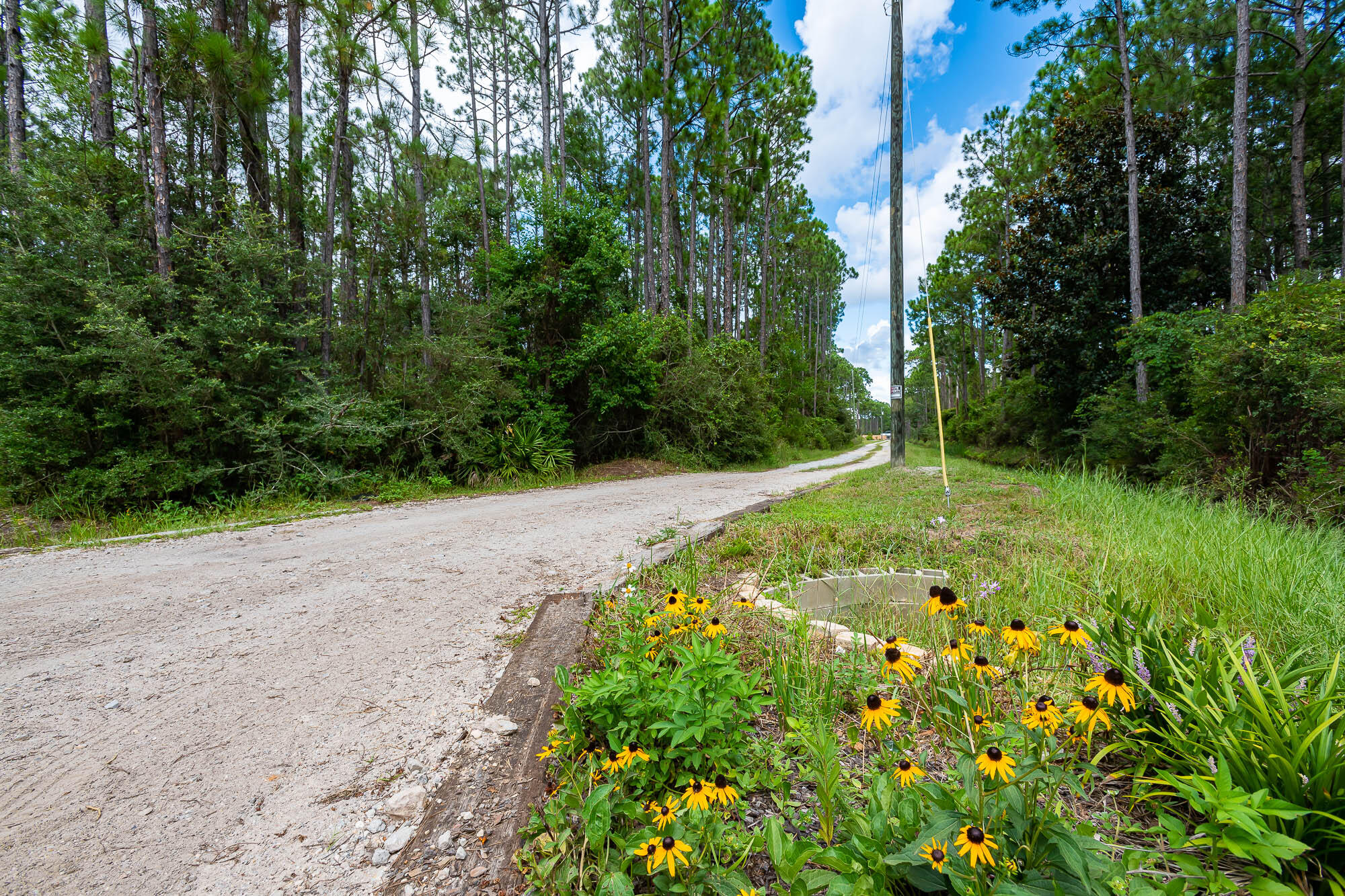 770 North Church Street Santa Rosa Beach, FL 32459 - Photo 73 of 85 a view of a yard with plants and large trees