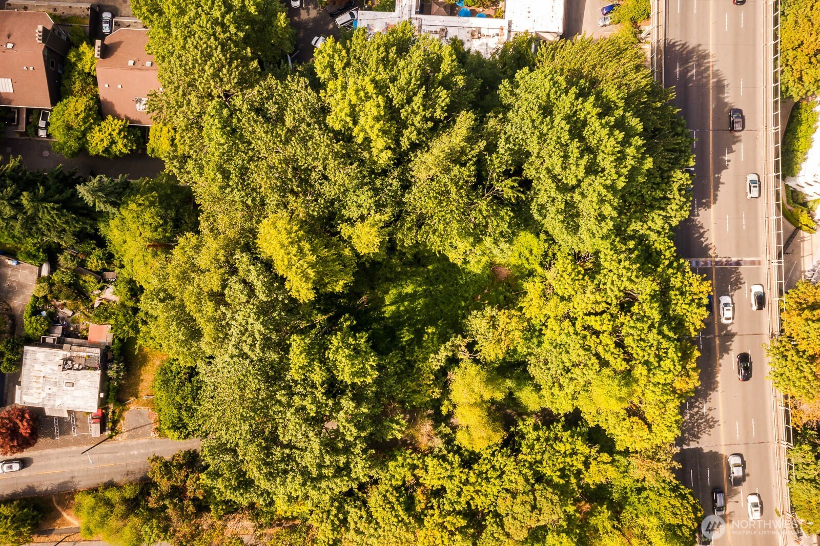 500 West Raye Street Seattle, WA 98109 - Photo 8 of 12 Gallery Image 8