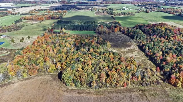 $629,000 | 5195 Genesee Road, North Collins, NY 14141