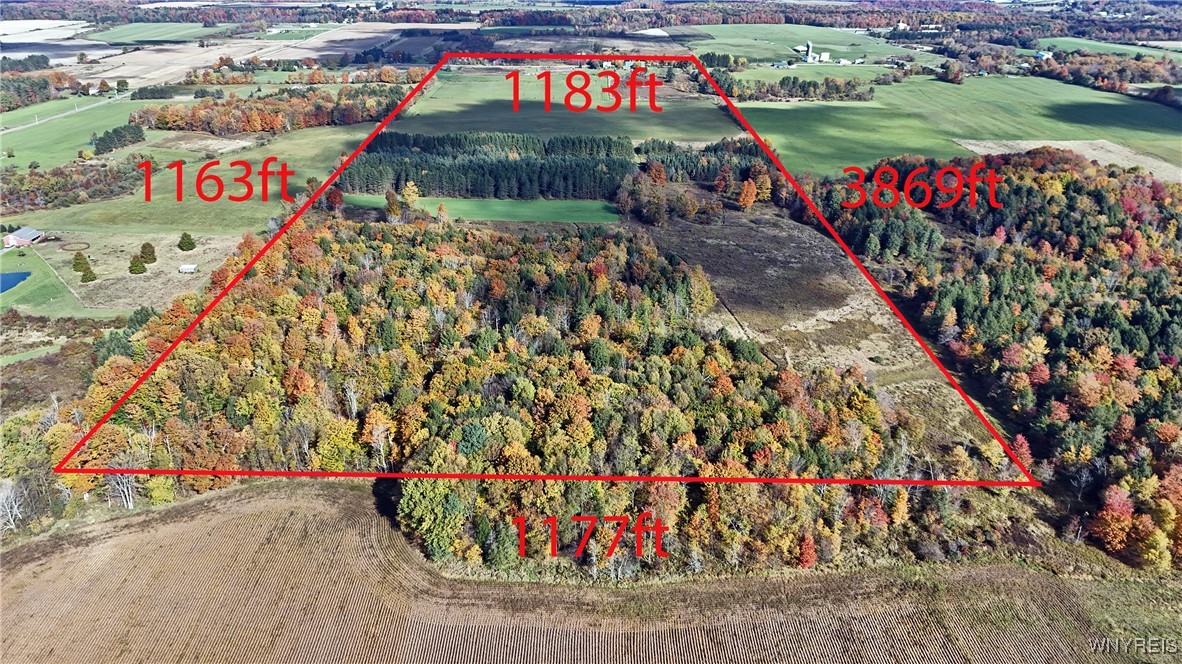 5195 Genesee Road North Collins, NY 14141 - Photo 3 of 50