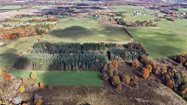 $629,000 | 5195 Genesee Road, North Collins, NY 14141