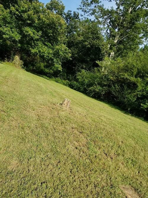 1801 Doaks Creek Road Speedwell, TN 37870 - Photo 11 of 11 2