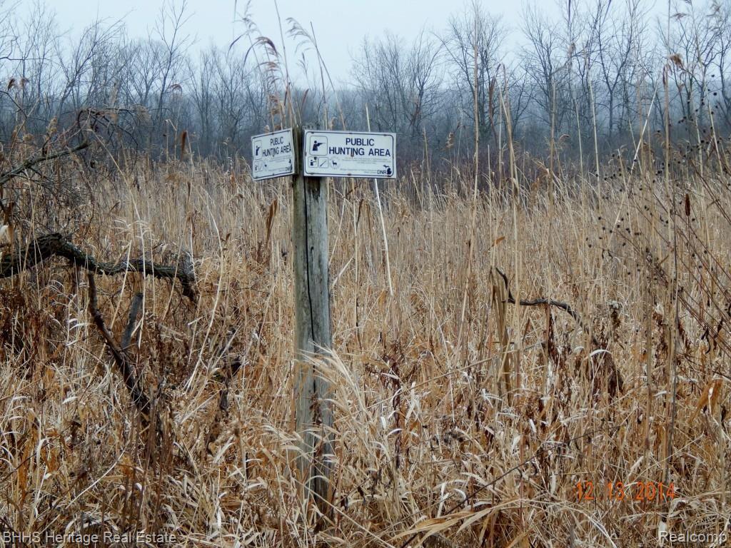 13162 Worden Road Gregory, MI 48137 - Photo 60 of 67 MORE STATE LAND