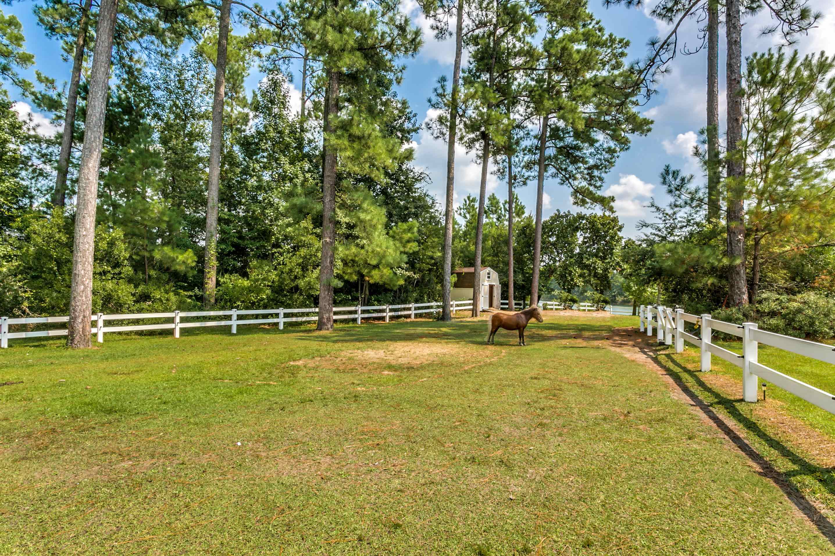 2790 Fowler Road Loris, SC 29569 - Photo 37 of 40 Gallery Image 37