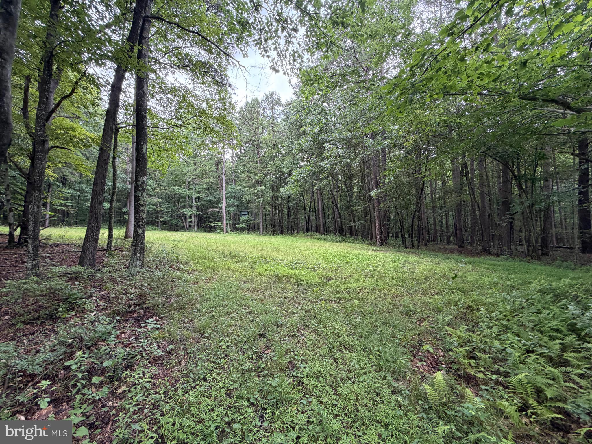 17147 Sugar Run Road Shirleysburg, PA 17260 - Photo 132 of 148