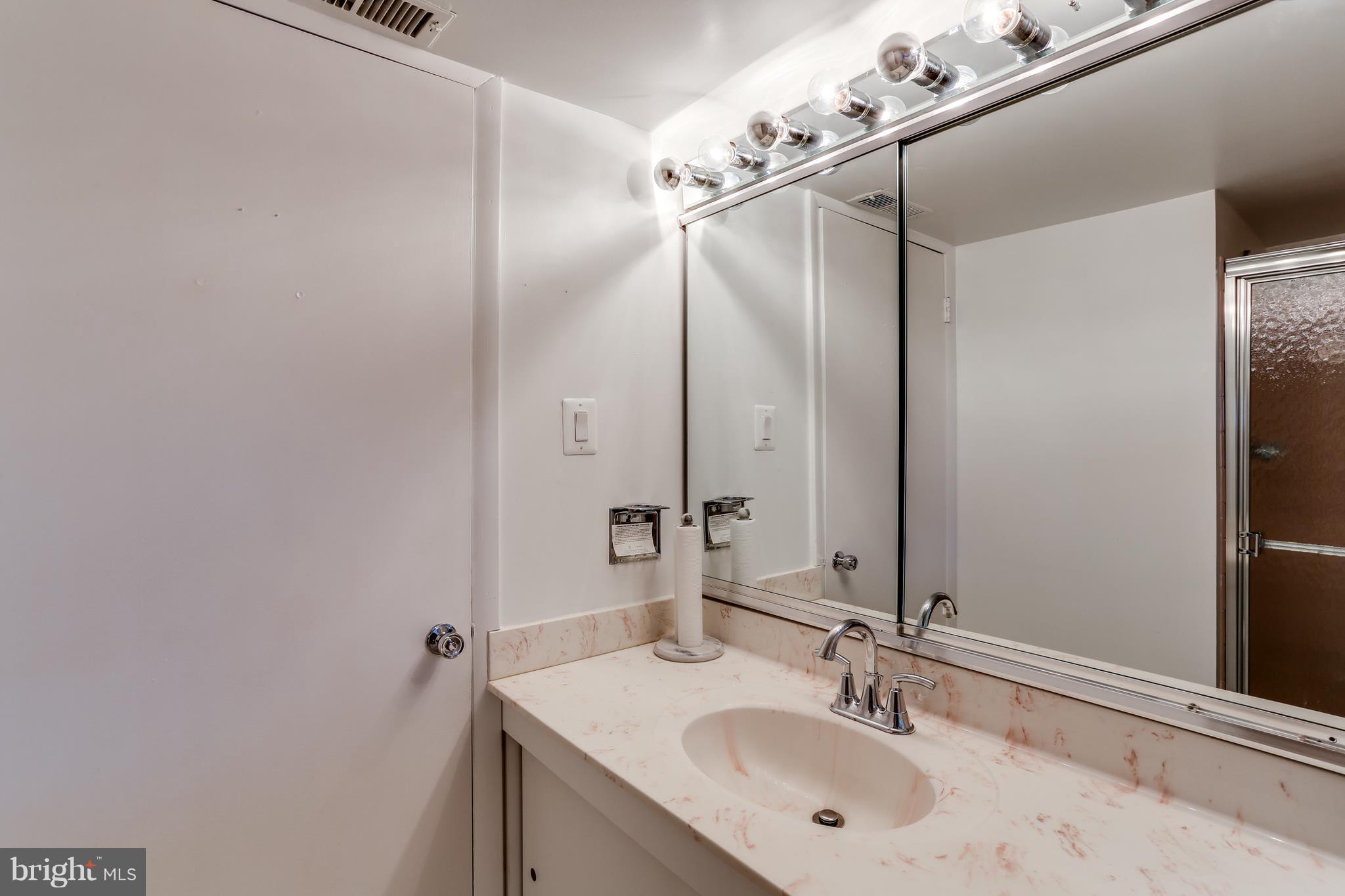 5129 West Running Brook Road Columbia, MD 21044 - Photo 26 of 29 LOWER LEVEL 3RD FULL BATH