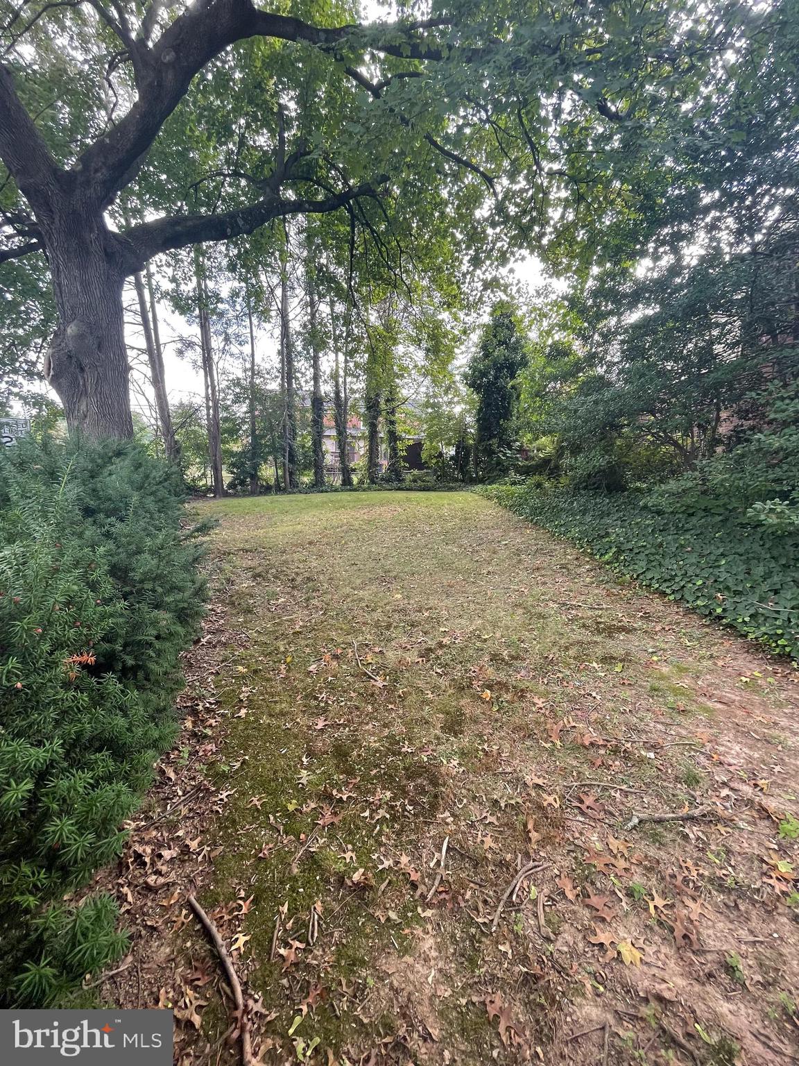 231 East Manoa Road Havertown, PA 19083 - Photo 22 of 22