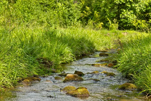 $209,000 | 0 Cloudland Trace, Unit 42, Chickamauga, GA 30707